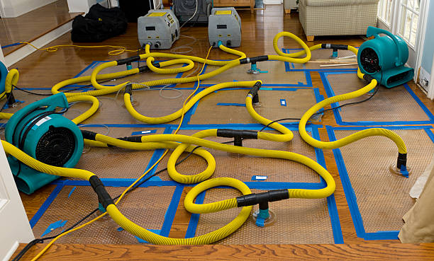Professional Water Damage Repair technician working in Pacific Beach, WA
